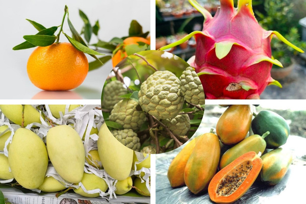 Mâm ngũ quả cúng cất nóc