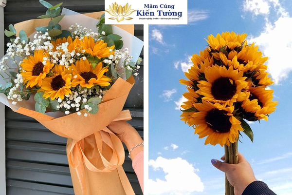 Hoa hướng dương. Hoa hướng dương.